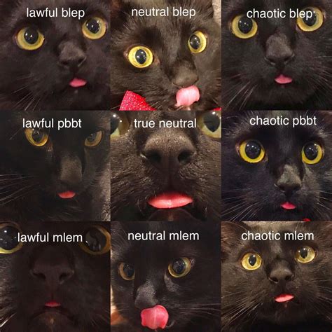 blep Meaning & Origin .
